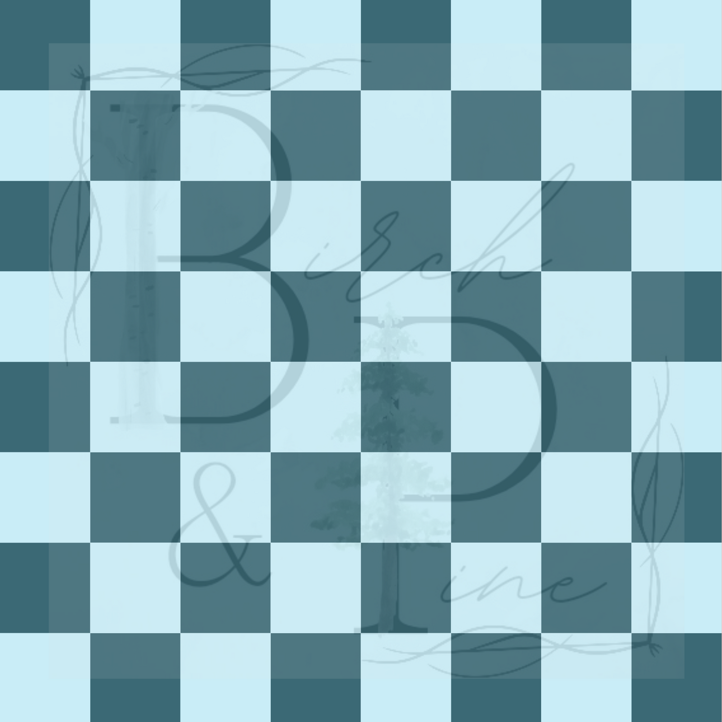 School checkered coordinates